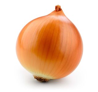 VRTNINA L'ORTO FRUTTIFERO RUMENA ČEBULA 9/1 COOPER BALL KULTIPAK