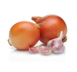 VRTNINA L'ORTO FRUTTIFERO RUMENA ČEBULA 9/1 DI PARMA KULTIPAK