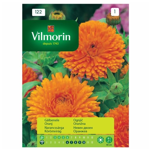 SEMENA CVETOČIH RASTLIN VILMORIN OGNJIČ ORANŽEN