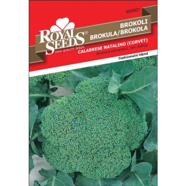 SEMENA ROYAL SEEDS BROKOLI CORVET F1 7