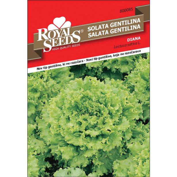 SEMENA ROYAL SEEDS SOLATA GENTILINA SF 85
