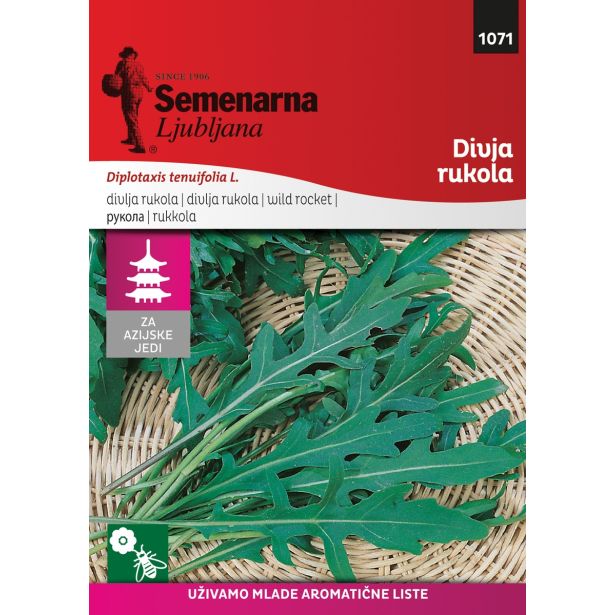 SEMENA SEMENARNA DIVJA RUKVICA(TANKOLISTNI DVOREDEC) M.V. AZIJA 1071