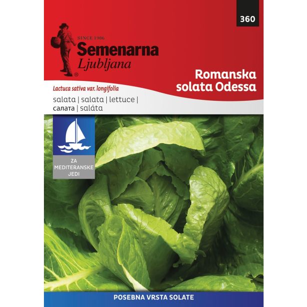 SEMENA SEMENARNA SOLATA ROMANSKA CORSICA M.V. MEDITERAN 360