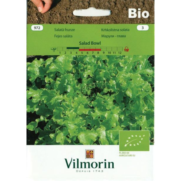 SEMENA VILMORIN BIO KRHKOLISTNA SOLATA SALAD BOWL