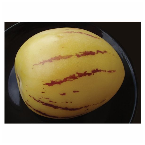 VRTNINA DOBRO & ZDRAVO PEPINO