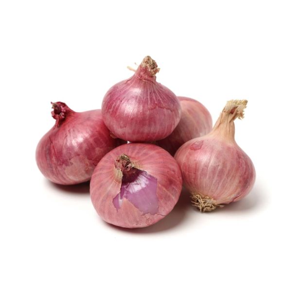 VRTNINA L'ORTO FRUTTIFERO RDEČA ČEBULA 9/1 BAS.FIORENTINA KULTIPAK