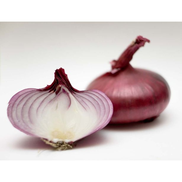 VRTNINA L'ORTO FRUTTIFERO RDEČA ČEBULA 9/1 VER.DI FIRENZE KULTIPAK