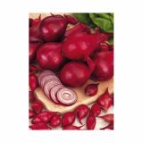 ČEBULČEK HOLLAND BULB MARKET RED KARMEN 500G
