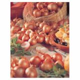 ČEBULČEK HOLLAND BULB MARKET ŠALOTKA REDSUN 500G