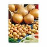 ČEBULČEK HOLLAND BULB MARKET STURON 500G
