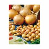 ČEBULČEK HOLLAND BULB MARKET STUTTGARTER 500G