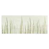 DEKOR ZA KERAM.PLOŠČICE GORENJE KERAMIKA VELA LIGHT GREEN GRASS B 20X50