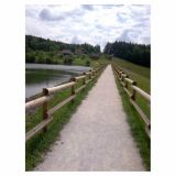 ELEMENT VRTNIH OGRAJ STEBRIČEK FI 6X180 CM SMREKA