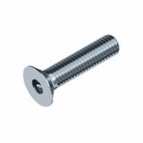 IMBUS VIJAK DIN7991 6X25 10.9