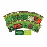 SEMENA VILMORIN BIO KRHKOLISTNA SOLATA RED SALAD BOWL