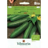SEMENA VILMORIN BIO SOLATNA KUMARA MARKETMORE 76