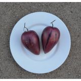 VRTNINA DOBRO & ZDRAVO PEPINO