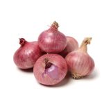 VRTNINA L'ORTO FRUTTIFERO RDEČA ČEBULA 9/1 BAS.FIORENTINA KULTIPAK