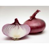 VRTNINA L'ORTO FRUTTIFERO RDEČA ČEBULA 9/1 VER.DI FIRENZE KULTIPAK