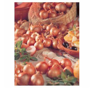 ČEBULČEK HOLLAND BULB MARKET ŠALOTKA REDSUN 500G