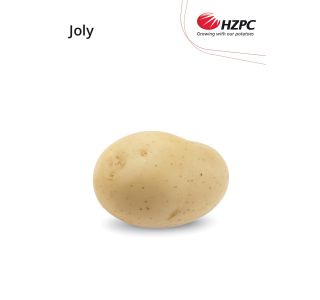 SEME KROMPIRJA JOLY 2.5 KG