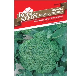 SEMENA ROYAL SEEDS BROKOLI CORVET F1 7