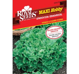 SEMENA ROYAL SEEDS VREČICA ROYAL MAXI HOBBY 175 ENDIVJA ESKARIOL