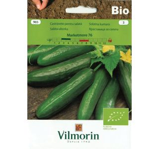 SEMENA VILMORIN BIO SOLATNA KUMARA MARKETMORE 76