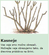 kasneje